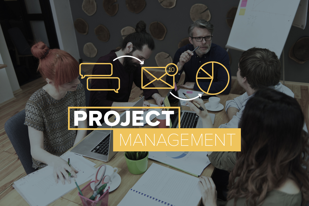 business-intelligence-services-for-Infor-customers-project-management-16